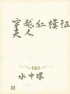 穿越红楼征服王夫人