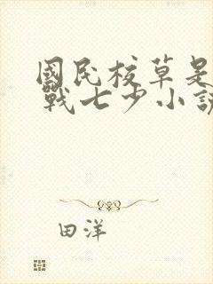 国民校草是女生 战七少小说封面