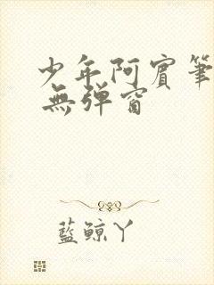 少年阿宾笔趣阁 无弹窗