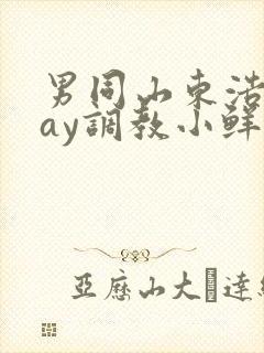 男同山东浩浩gay调教小鲜肉