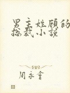 男主姓顾的现代总裁小说