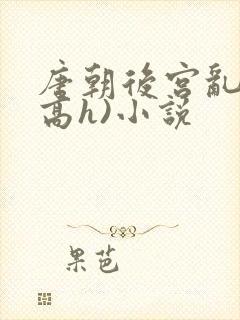 唐朝后宫乱淫(高h)小说封面