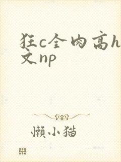 狂c全肉高h辣文np
