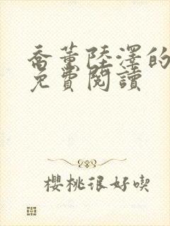 乔薰陆泽的小说免费阅读