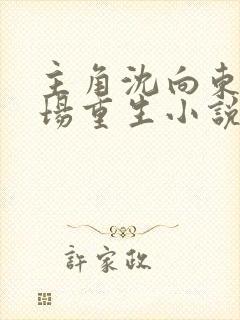 主角沈向东的官场重生小说