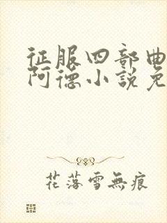 征服四部曲陈艳阿德小说免费阅读