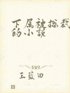 下属被总裁惩罚的小说封面