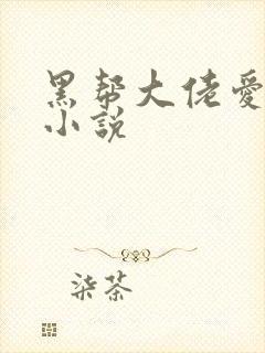 黑帮大佬爱上我小说封面