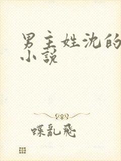 男主姓沈的古代小说封面