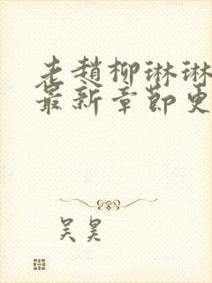 老赵柳琳琳小说最新章节更新