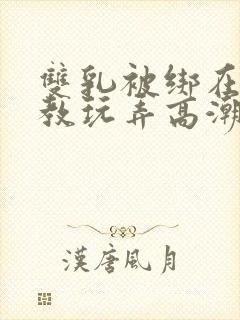 双乳被绑在床调教玩弄高潮小说封面