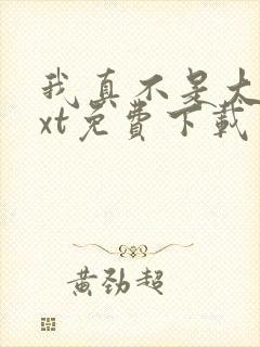 我真不是大佬txt免费下载