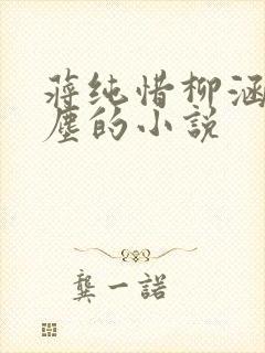 蒋纯惜柳涵晴萧尘的小说