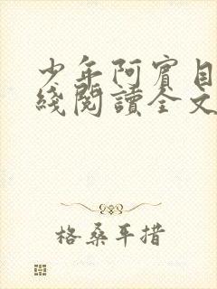 少年阿宾目录在线阅读全文