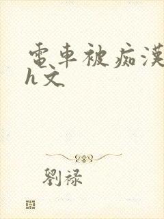 电车被痴汉玩弄h文封面