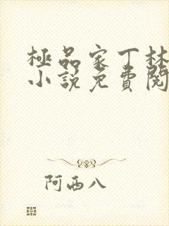 极品家丁林晚荣小说免费阅读全文无删减