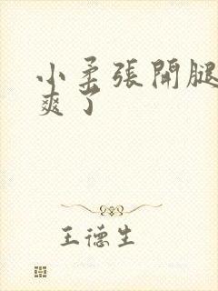 小柔张开腿让我爽了封面