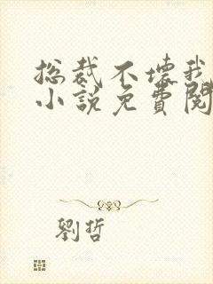 总裁不坏我不爱小说免费阅读