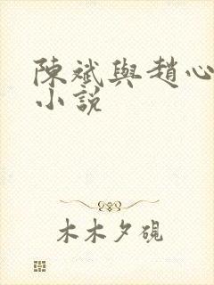 陈斌与赵心媚的小说