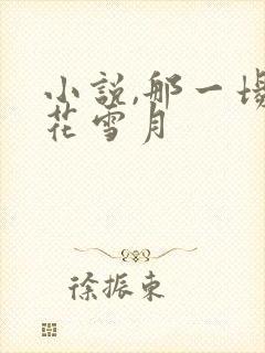 小说,那一场风花雪月