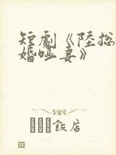 短剧《陆总的新婚哑妻》