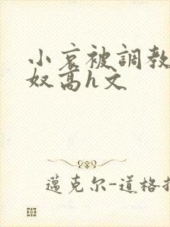 小哀被调教成肉奴高h文