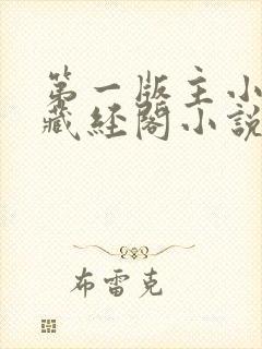 第一版主小说网藏经阁小说网