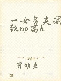 一女多夫湿润紧致np高h封面