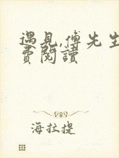 遇见,傅先生免费阅读封面