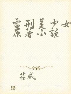 电刑美少女小说原著小说封面