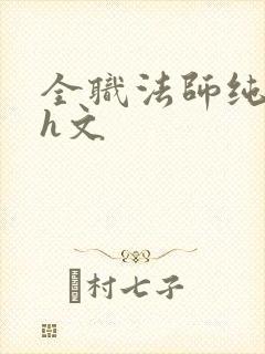 全职法师纯肉高h文