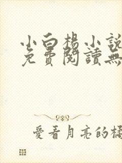 小白杨小说全文免费阅读无删减水千丞映月