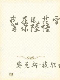 我在风花雪月里等你陆佳封面