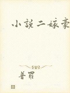 小说二嫁豪门