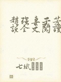 赵强妻子芳姨小说全文阅读