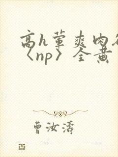 高h荤爽肉欲文〈np〉全黄