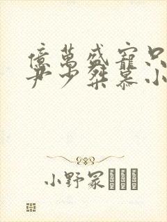 亿万盛宠只为你尹少桀慕小小