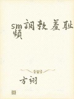 sm调教羞耻视频