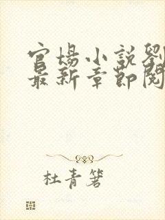 官场小说刘志中最新章节阅读全文封面