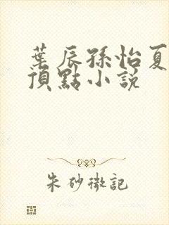 叶辰孙怡夏若雪顶点小说