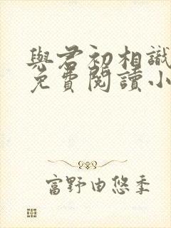 与君初相识全文免费阅读小说