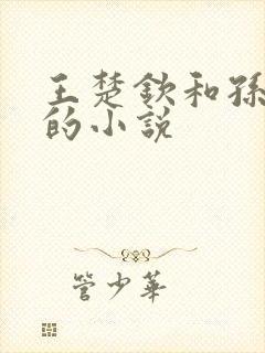 王楚钦和孙颖莎的小说