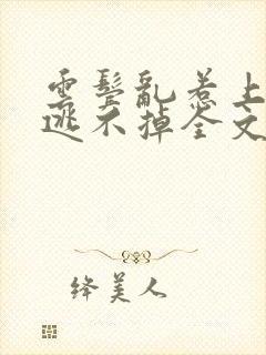 云鬓乱惹上权臣逃不掉全文阅读