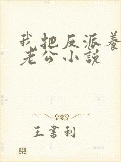 我把反派养成了老公小说