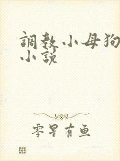 调教小母狗sm小说