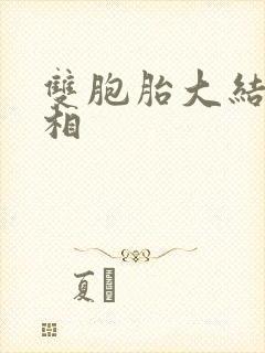 双胞胎大结局真相封面