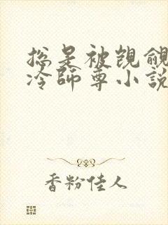 总是被觊觎的清冷师尊小说封面