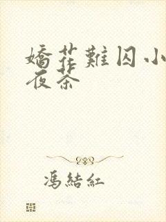 娇花难囚小说霁夜茶