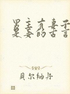 男主有妻子女主是妾的古言封面