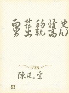 白花的情史2(男出轨高h)》